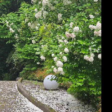 Guest house Isabella: Lakefront With Park View Balcony Stresa